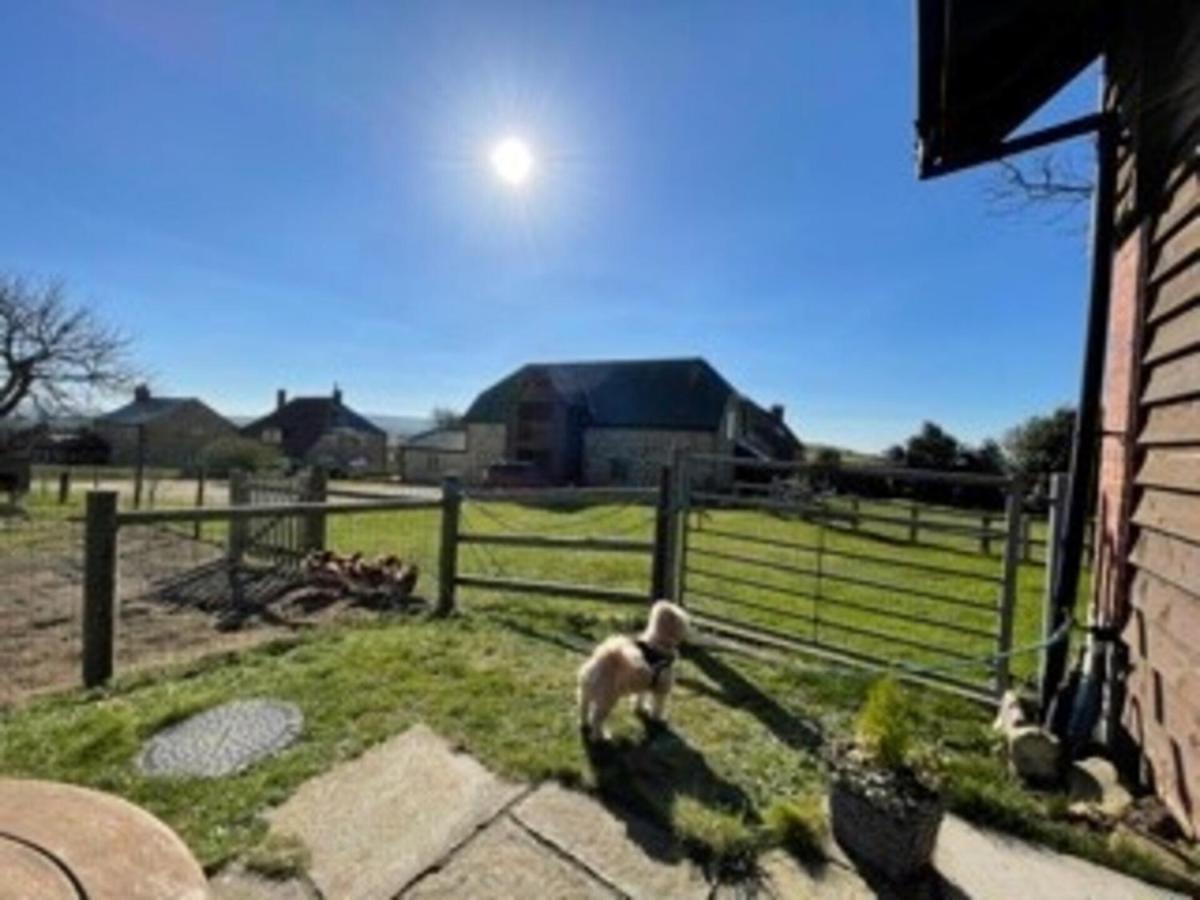 Poachers Hut - Captivating 1-Bed Cottage Shorwell Экстерьер фото